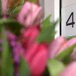 Ferienwohnung Mare Nostrum 4